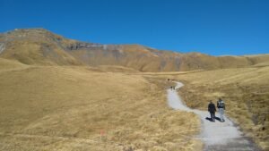 Trail to Bachalpsee, Bernese Oberland